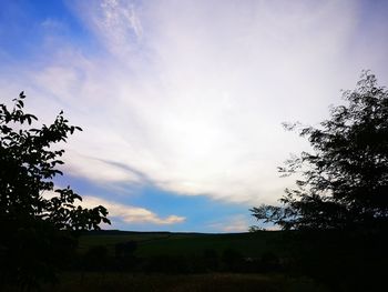 Low angle view of silhouette trees on field against sky