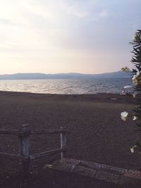 Scenic view of beach against sky