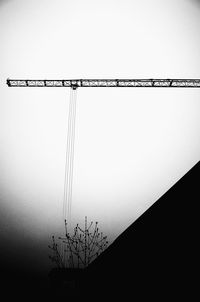 Low angle view of silhouette plant against clear sky