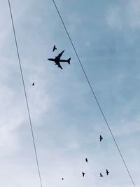 Low angle view of birds flying in sky