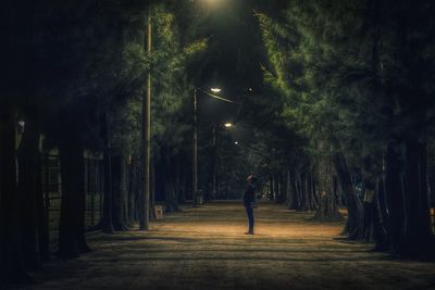 People walking on road at night