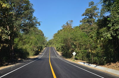 Empty road along trees and plants