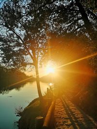 Trees by lake against sky during sunset