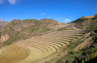 Scenic view of agricultural field against clear blue sky