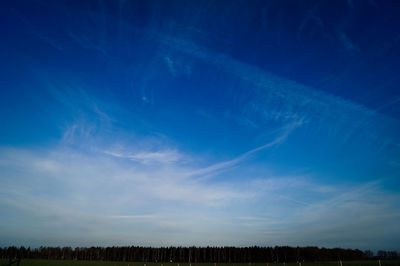 Trees on field against blue sky