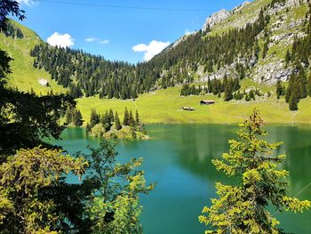 Scenic view of lake by trees against sky