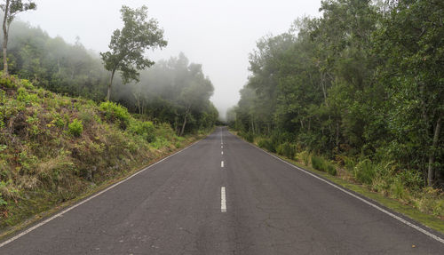 Road amidst trees against clear sky