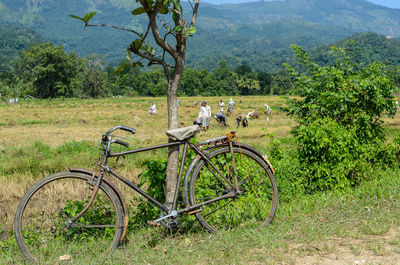 View of landscape with mountain in background