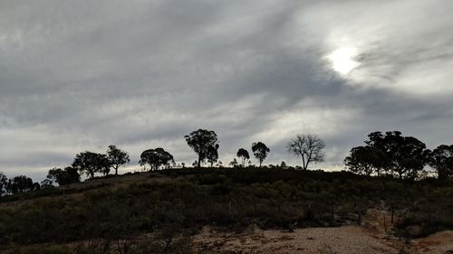 Silhouette trees on field against sky