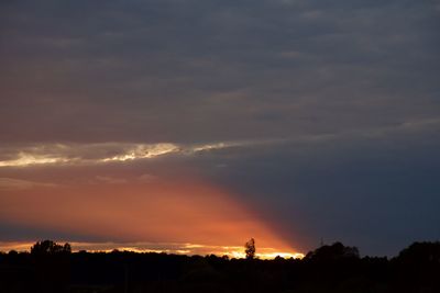 Silhouette trees against sky during sunset