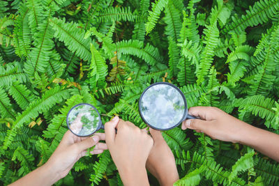 Cropped hands of female friends holding magnifying glass over plants