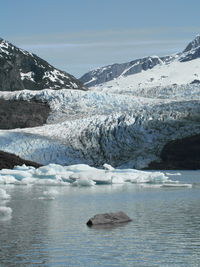 The mighty mendenhall glacier 