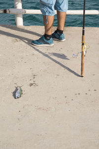 Low section of person standing on beach