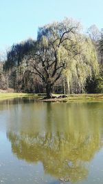 Scenic view of lake against clear sky