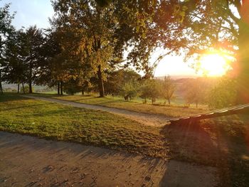 View of park against sky during sunset