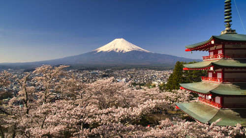 Mount fuji with cherry blossoms at arakurayama sengen park