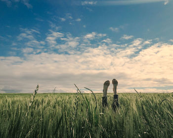 Low section of woman on field against sky