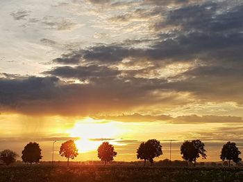 Silhouette trees on field against sky during sunset