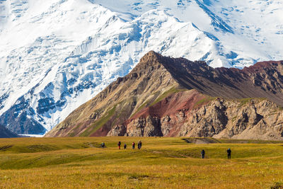 Horses grazing on snowcapped mountains against sky