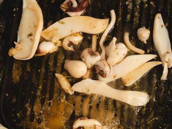 High angle view of mushrooms