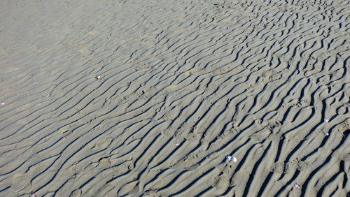 Full frame shot of shore