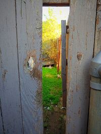 Close-up of old abandoned building