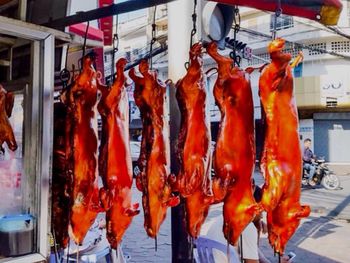 Fish for sale at market stall