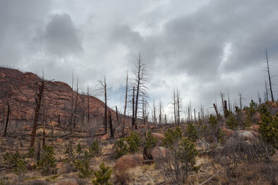 Low angle view of panoramic shot of land against sky