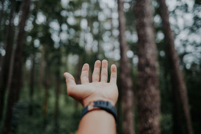 Cropped hand against trees in forest