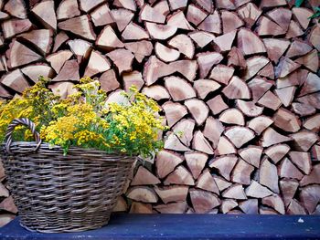 Close-up of flowers in basket