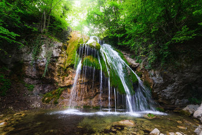 Scenic view of waterfall in forest