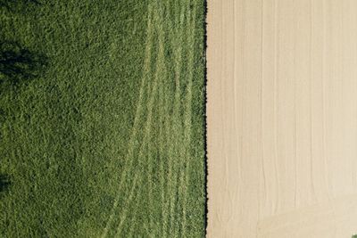 Full frame shot of agricultural field