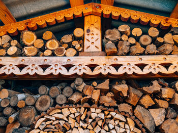 Stack of logs in forest