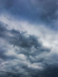 Low angle view of birds flying in sky