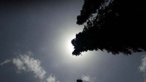 Low angle view of silhouette trees against sky