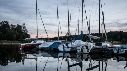 Sailboats moored at harbor