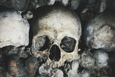 Close-up of human skulls and bones at catacomb