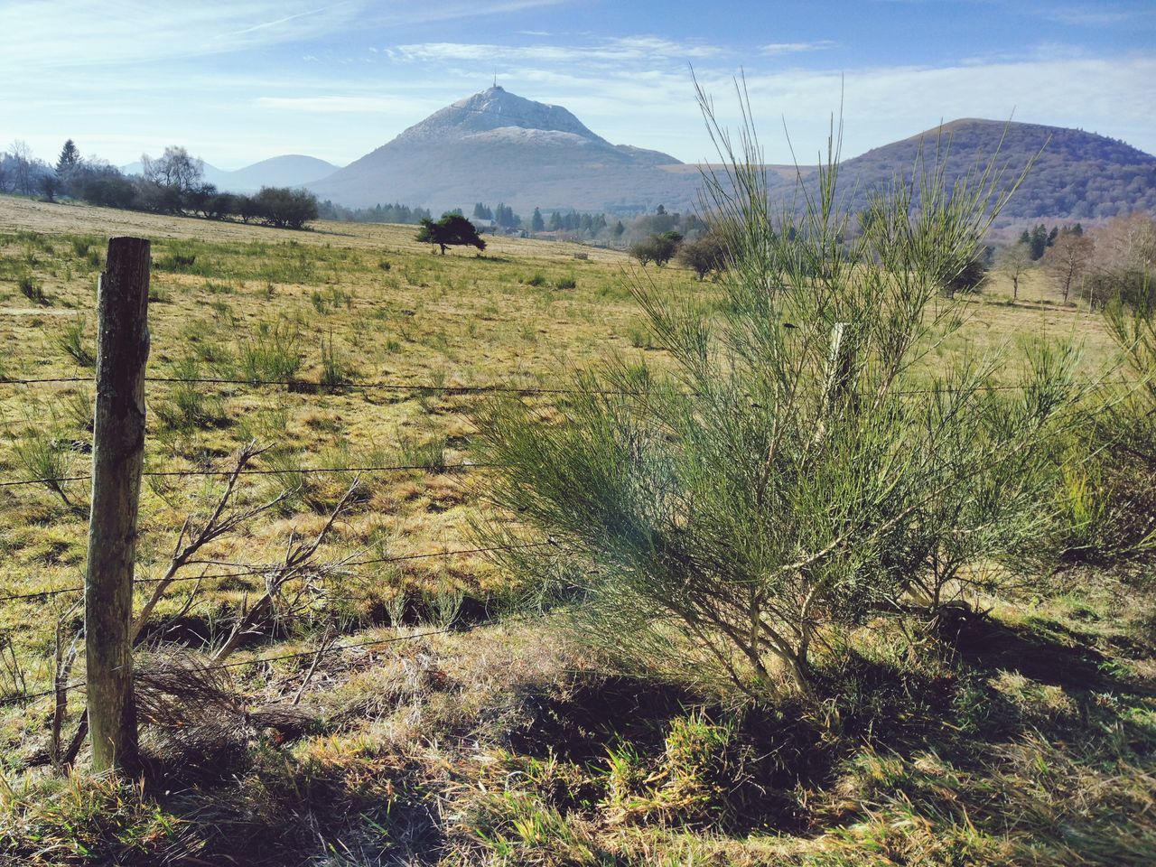 mountain, nature, tranquility, landscape, tranquil scene, grass, beauty in nature, scenics, day, no people, outdoors, growth, field, mountain range, tree, sky