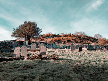 Trees growing in cemetery against sky