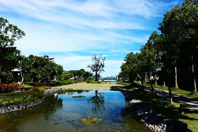 Scenic view of lake in park against sky