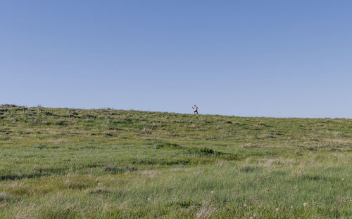 Scenic view of grassy field against cloudy sky