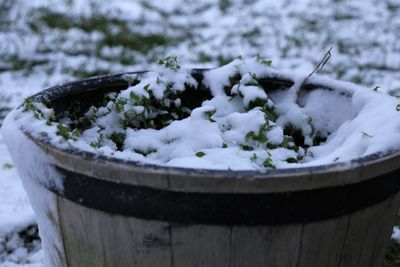 Close-up of snow