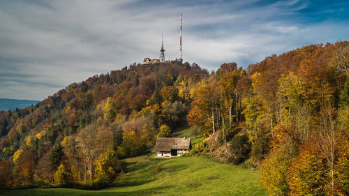 Trees and plants by buildings against sky during autumn