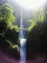 Low angle view of waterfall in forest