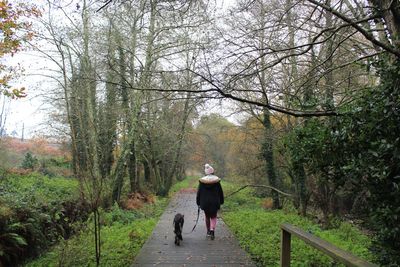 Rear view of woman walking with dog on footpath in forest