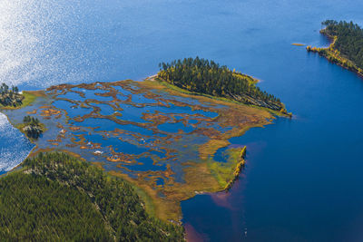 Bog, lakes and trees from above