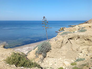 Scenic view of sea against clear sky