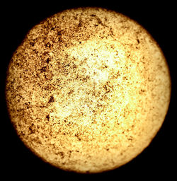 Close-up of bread