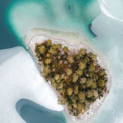 High angle view of food on table
