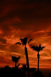A silhouette of three palm trees against a brilliant orange toned sunset.
